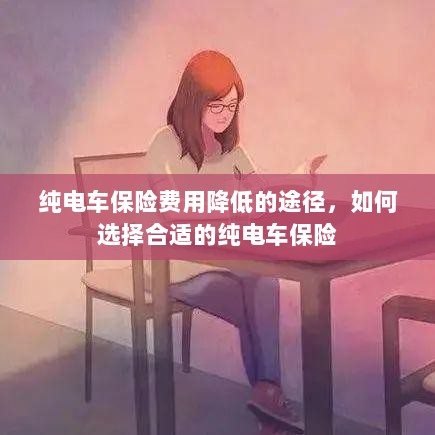 纯电车保险费用降低的途径及保险选择攻略-图1 纯电车保险费用降低的途径及保险选择攻略-图1