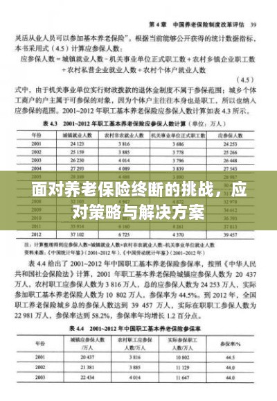 养老保险中断挑战应对方案与策略探讨-图1 养老保险中断挑战应对方案与策略探讨-图1