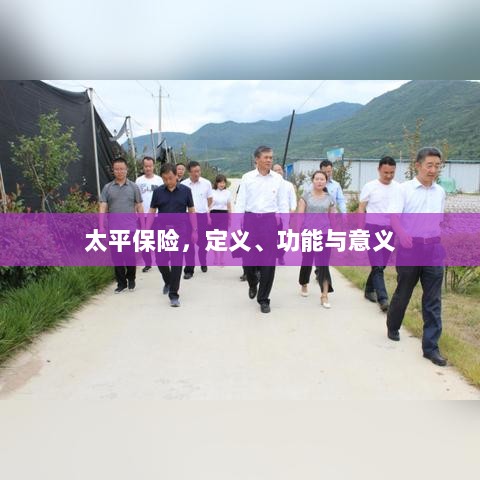 太平保险,定义、功能及其重要意义-图1 太平保险,定义、功能及其重要意义-图1