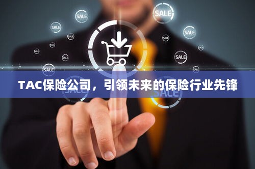 TAC保险公司，引领保险行业未来先锋-图1