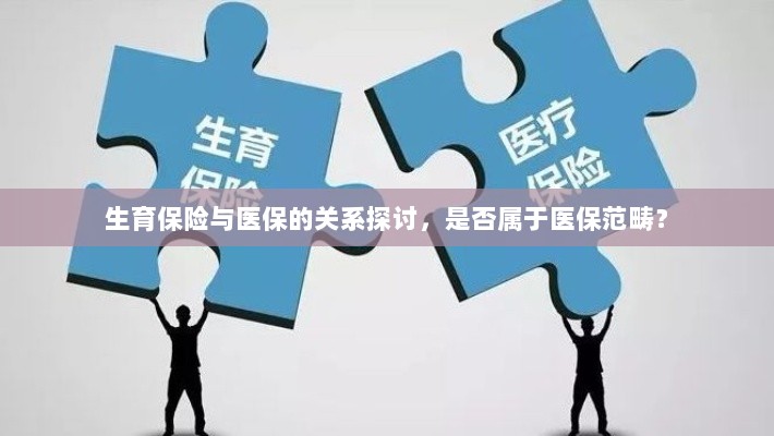 生育保险与医保的关系解析,是否属于医保范畴?-图1 生育保险与医保的关系解析,是否属于医保范畴?-图1