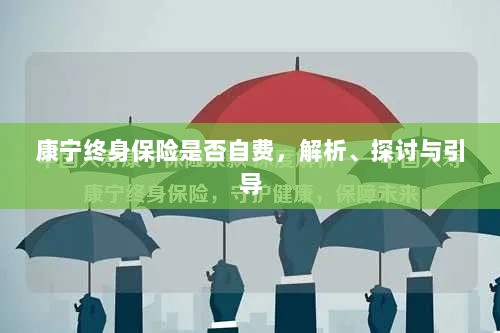康宁终身保险的自费问题深度解析与探讨-图1 康宁终身保险的自费问题深度解析与探讨-图1