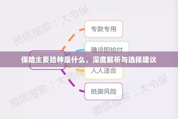 保险主要险种详解,深度解析与选择建议攻略-图1 保险主要险种详解,深度解析与选择建议攻略-图1