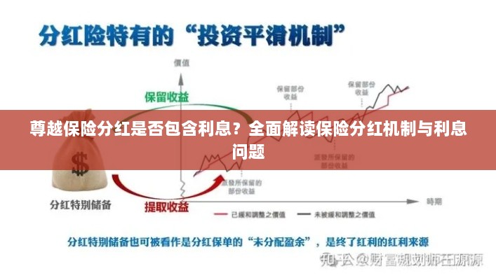 尊越保险分红机制详解,是否包含利息?全面解读保险分红与利息问题。-图1 尊越保险分红机制详解,是否包含利息?全面解读保险分红与利息问题。-图1