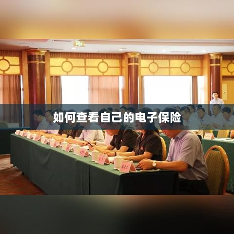如何查看个人电子保险保单详情-图1 如何查看个人电子保险保单详情-图1