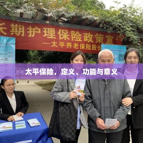 太平保险，定义、功能及其重要意义-图1