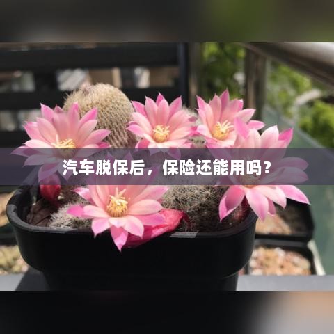 汽车脱保后,保险是否继续有效?-图1 汽车脱保后,保险是否继续有效?-图1