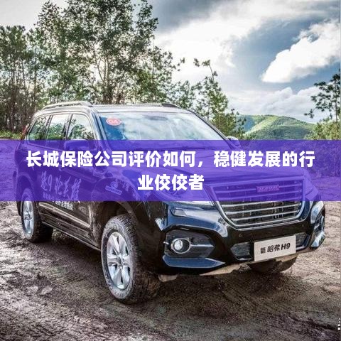 长城保险公司评价积极，行业稳健发展的佼佼者-图1