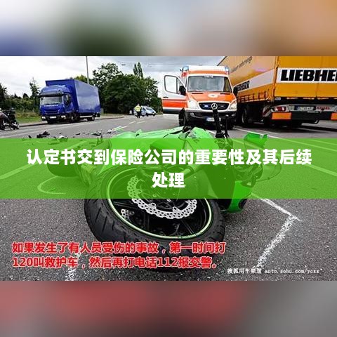 认定书交到保险公司的重要性及后续处理流程详解-图1 认定书交到保险公司的重要性及后续处理流程详解-图1