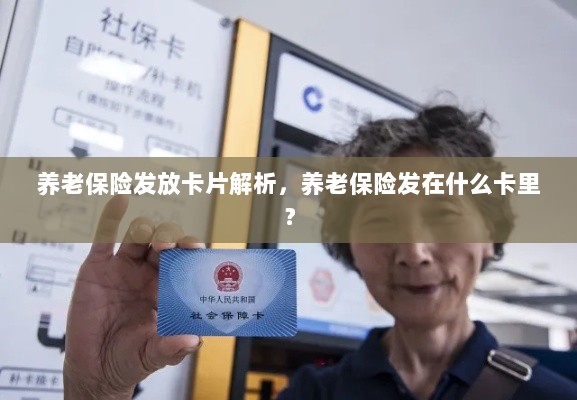 养老保险发放卡片详解，发放渠道与卡片类型解析-图1
