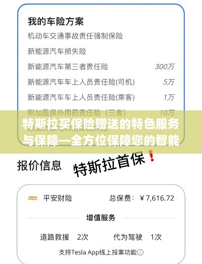 特斯拉保险特色服务,全方位保障智能出行体验-图1 特斯拉保险特色服务,全方位保障智能出行体验-图1