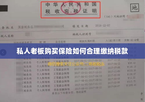 私人老板购买保险如何合理缴税，策略与指南-图1