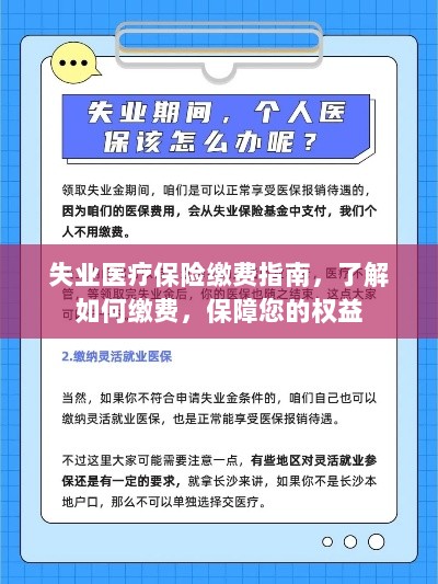 失业医疗保险缴费指南，全面解析缴费流程，保障您的权益不受影响-图1