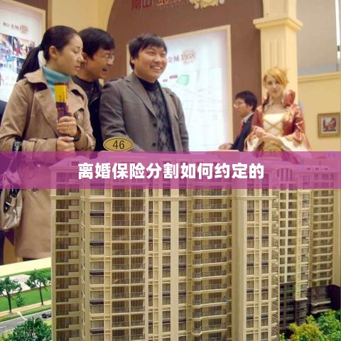 离婚保险分割约定详解-图1 离婚保险分割约定详解-图1