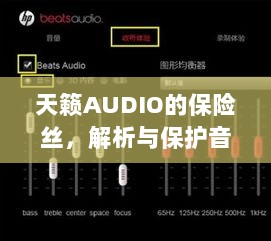 天籁AUDIO保险丝，解析与音频系统保护的关键要素-图1