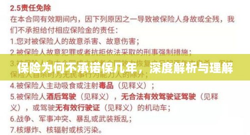 深度解析,保险承诺期限的隐情与理解-图1 深度解析,保险承诺期限的隐情与理解-图1