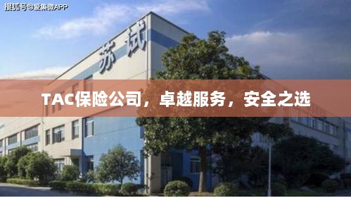 TAC保险公司,卓越服务,信赖的安全之选-图1 TAC保险公司,卓越服务,信赖的安全之选-图1