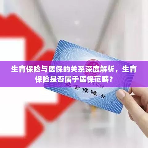生育保险与医保深度关联解析，生育保险是否归入医保范畴？-图1