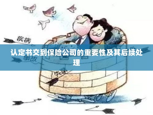 认定书交到保险公司的重要性及后续处理流程详解-图1