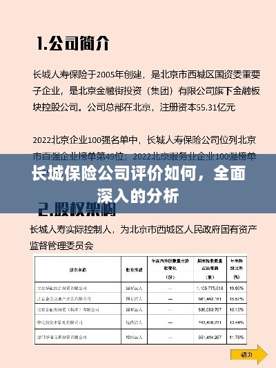 长城保险公司评价深度解析，全方位视角探究其表现与优势-图1