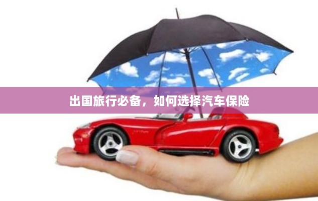 出国旅行必备知识，如何选择汽车保险-图1