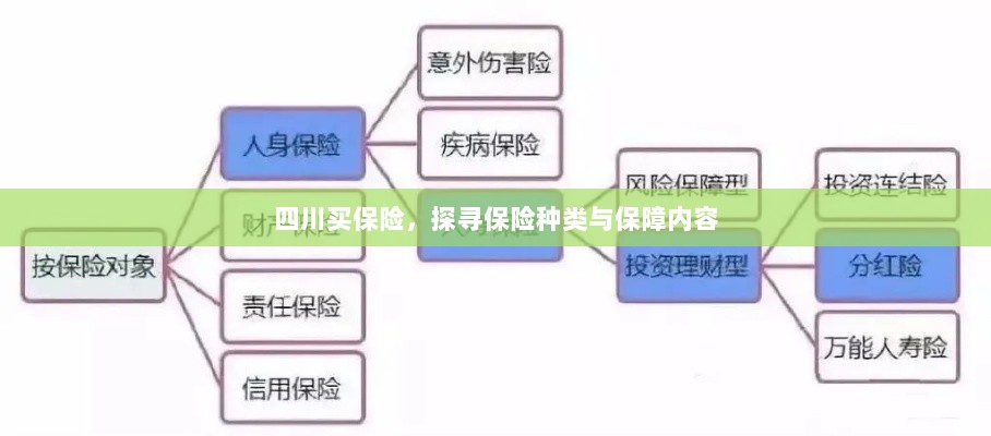 四川保险探秘，种类与保障内容全解析-图1