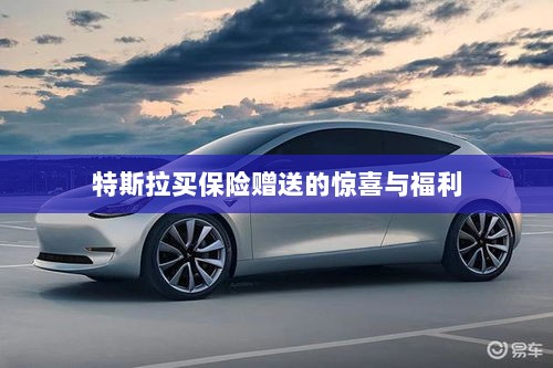 特斯拉保险购买赠品与惊喜福利概述-图1
