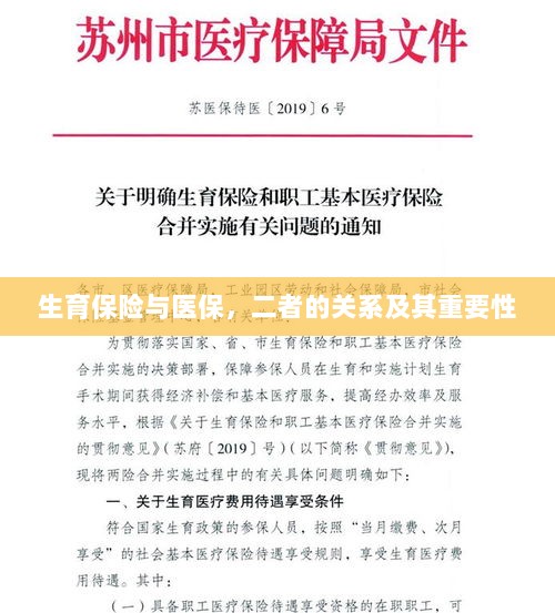 生育保险与医保,关系紧密,保障女性生育权益的重要性不言而喻-图1 生育保险与医保,关系紧密,保障女性生育权益的重要性不言而喻-图1
