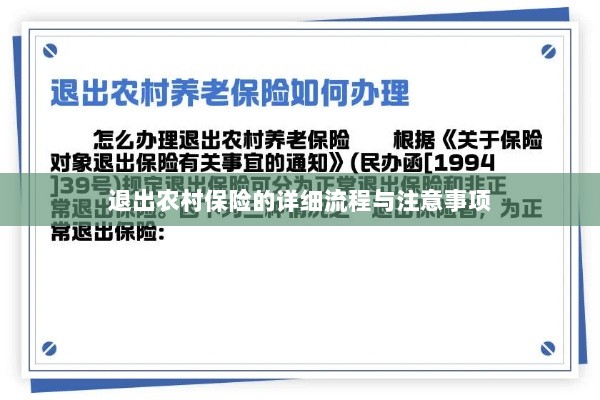 退出农村保险的详细流程与注意事项全解析-图1