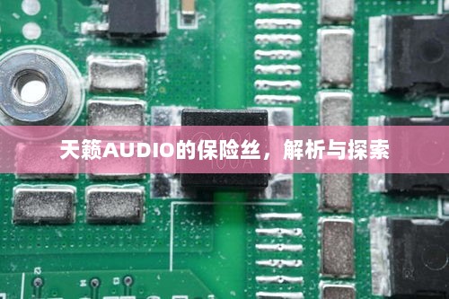 天籁AUDIO保险丝解析与探索-图1