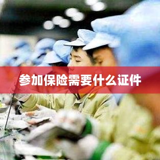 参加保险所需证件概览-图1