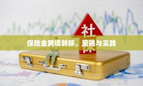 保险金跨境转移的策略与实践探讨-图1