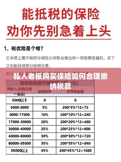 私人老板购买保险如何合理缴税,策略与指南-图1 私人老板购买保险如何合理缴税,策略与指南-图1