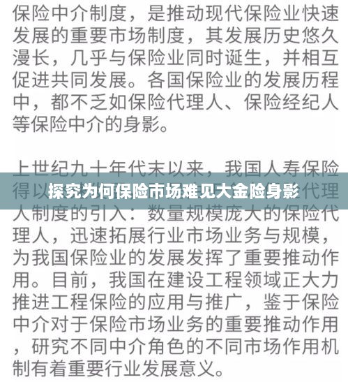 大金险在保险市场难觅踪迹的探究-图1