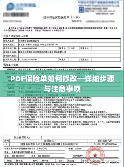 PDF保险单修改指南,步骤详解及注意事项-图1 PDF保险单修改指南,步骤详解及注意事项-图1