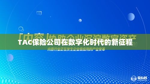 TAC保险公司在数字化时代的新征程启航-图1