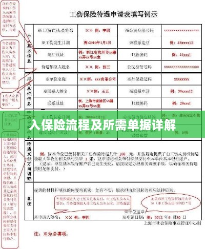 保险投保流程与所需单据全面解析-图1