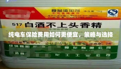 纯电车保险费用优化策略与选择，如何更便宜地保障您的电动汽车？-图1