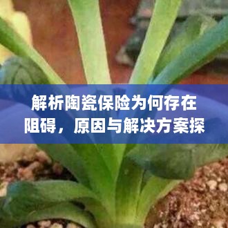 陶瓷保险阻碍解析,原因探究与解决方案探讨-图1 陶瓷保险阻碍解析,原因探究与解决方案探讨-图1