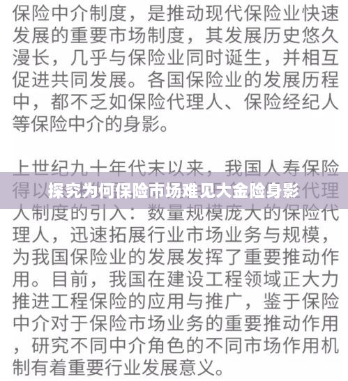 大金险在保险市场难觅踪迹的探究-图1 大金险在保险市场难觅踪迹的探究-图1