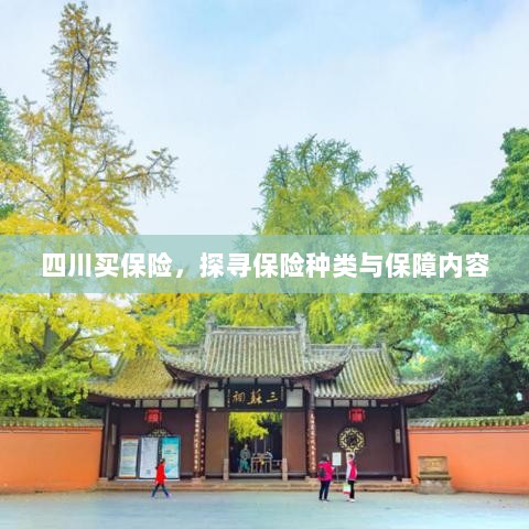 四川保险探秘,种类与保障内容全解析-图1 四川保险探秘,种类与保障内容全解析-图1