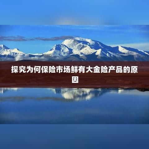 大金险产品稀缺，探究保险市场的现状与原因-图1
