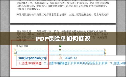 PDF保险单修改指南-图1