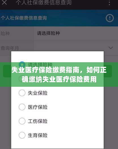 失业医疗保险缴费详解，如何正确缴纳费用指南-图1