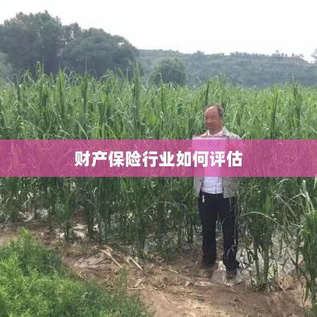 财产保险行业评估方法与策略解析-图1 财产保险行业评估方法与策略解析-图1