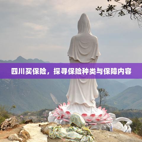四川保险探秘,种类与保障内容全解析-图1 四川保险探秘,种类与保障内容全解析-图1