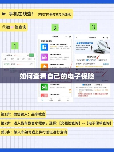 如何查看个人电子保险保单详情-图1 如何查看个人电子保险保单详情-图1