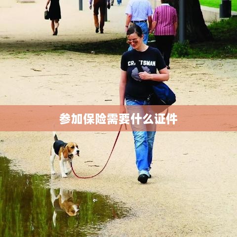 参加保险所需证件概览-图1 参加保险所需证件概览-图1