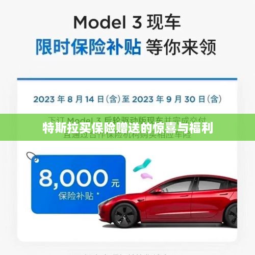 特斯拉保险购买赠品与惊喜福利概述-图1 特斯拉保险购买赠品与惊喜福利概述-图1