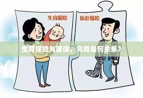 生育保险与医保,究竟有何关联?-图1 生育保险与医保,究竟有何关联?-图1